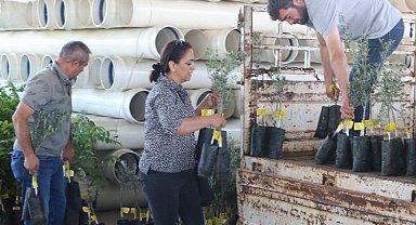 Çiftçilerin fidan sevinci! Taşı taşı bitmedi