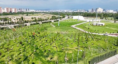 Dev park gün sayıyor
