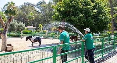 Doğa Parkı'nın sakinleri yağmurlama ile serinliyor