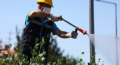 Erzurum'da haşere ile mücadele