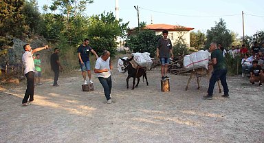 Eşeğe saman balyası yüklemek için kıyasıya yarıştılar