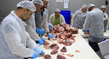 Hayat Ağacı Derneği vekaletle bu yıl da kesti