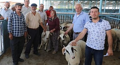 Hayvancılığa koç gibi destek