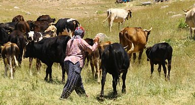 Hayvancılıkta bir ilk! Çoban haritası çıkartılıyor