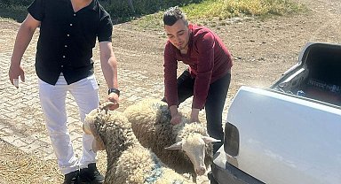 Hisarcık Dereköy'de kurban kesemeyen 18 aileye hayırseverlerden kurban bağışı