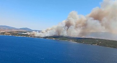 İzmir'de orman yangını!