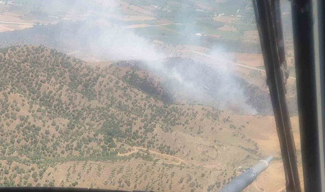 İzmir'de ormana sıçrayan yangın kontrol altında