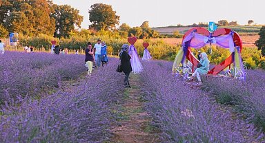 İzmitliler Lavanta Şenlikleri'nde buluştu