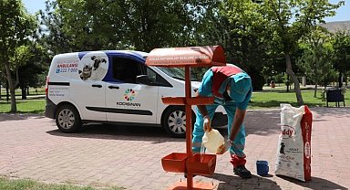 Kayseri Kocasinan'dan can dostlara destek