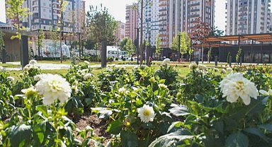 Kayseri Talas'ta rengarenk meydan