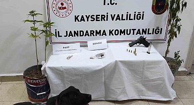 Kenevir Yetiştiren Şahıs Yakalandı