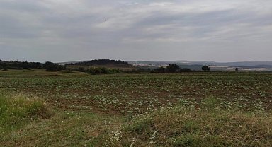 Keşan'a 1,5 milyar TL'lik RES için ÇED süreci başladı