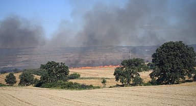 Keşan'da yangın: 2 bin dönüm alan kül oldu
