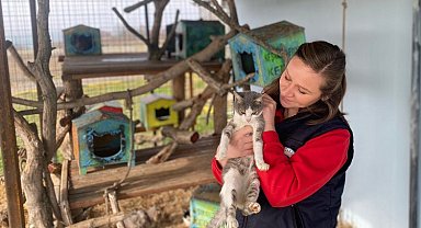 Keşan'da yılın ilk yarısında 2 bini aşkın can dost tedavi edildi