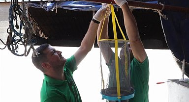 Kocaeli'de vektör mücadelesinde tuzak desteği