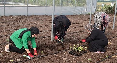 Kocaeli'den kadın girişimcilere tarımsal destek... Ata tohumları toprakla buluşturuldu