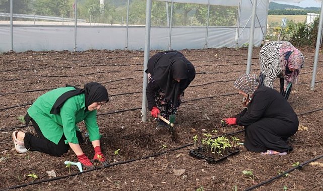 Kocaeli'den kadın girişimcilere tarımsal destek... Ata tohumları toprakla buluşturuldu