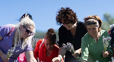 Lavanta seferberliği! Muhtarlar lavanta hasadı yaptı