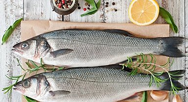 Levrek ihracatın zirvesinde!