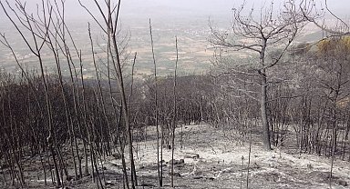 Manisa'dan İzmir Ödemiş yangınına destek
