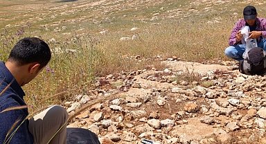 Mardin'de Pleistosen ve Erken Holosen için yaşam bulgusu