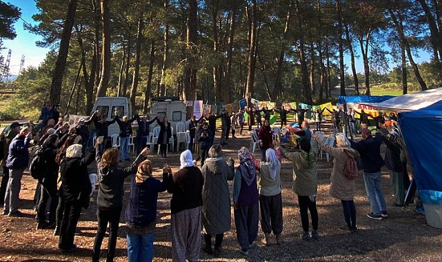 Muğla'da Akbelen Ormanı için ortak 'sivil' çağrı