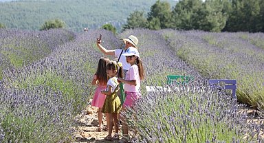 Muğla'da Lavanta Bahçesi'ne ziyaretçi akını