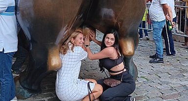 New York'ta turistlerin tacizine uğrayan boğa! Turistler bunu neden yapıyor?