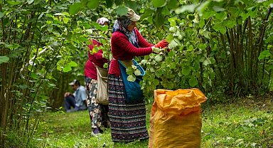 O projeye rekor başvuru