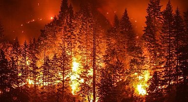 Orman yangınlarının sebebi sabotaj mı, yoksa doğal sebepler mi?