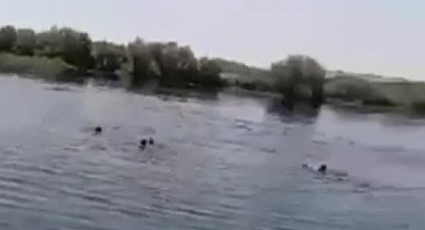 Piknik faciası cep telefonu kamerasında