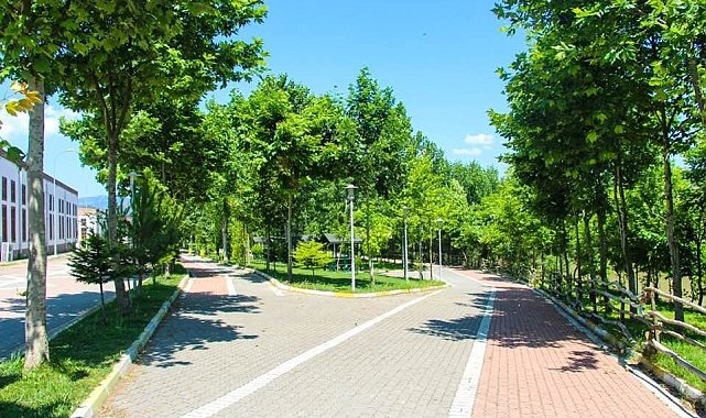 "500 Bin Metrekare Park, 500 Bin Adet Ağaç" projesi hız kazandı