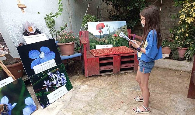 Sadece özel izinle dokunulabilen Tülüşah'ın hikayesi resimlerle anlatıldı