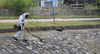 Sakarya Belediyesi Çark Deresi'ni temizledi