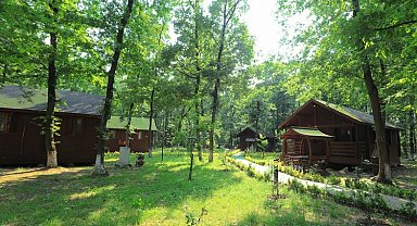 Sakarya'nın orman evleri hayran bıraktı