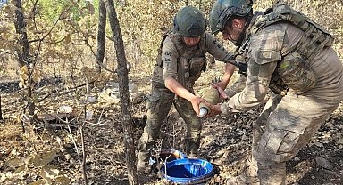 Şırnak'ta 5 terörist etkisiz