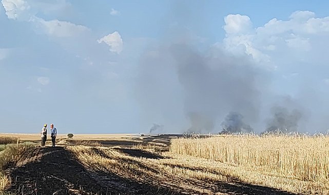 Tarım arazisinde çıkan yangın büyümeden söndürüldü
