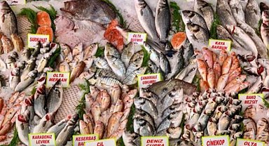 Tarım ÜFE'de balıkçılık Haziran'da arttı