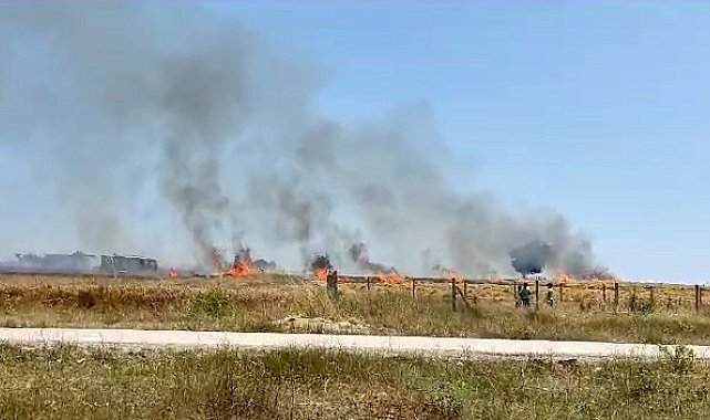 Tekirdağ'da buğday tarlası kül oldu