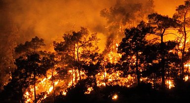 Turizm cenneti alevler içinde kaldı