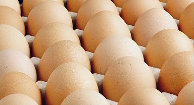 Yumurtacılardan 'yasak' isyanı