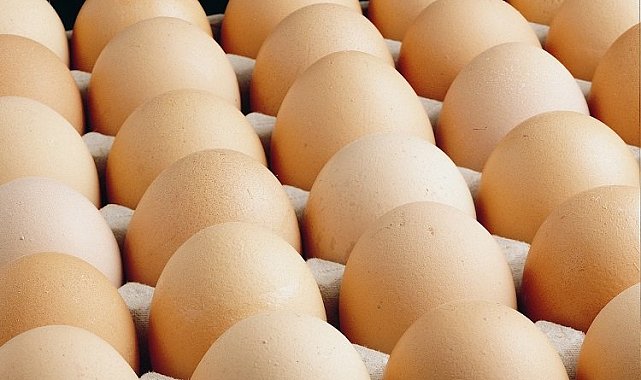 Yumurtacılardan 'yasak' isyanı