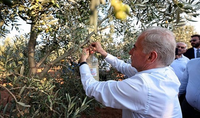 Zeytincilerin en büyük derdi haşere