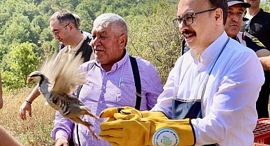 Bilecik'te 400 kınalı keklik doğayla buluştu