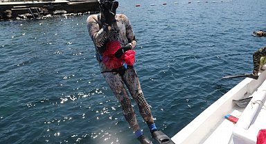 Bodrum'un dipleri şaşırtmaya devam ediyor!