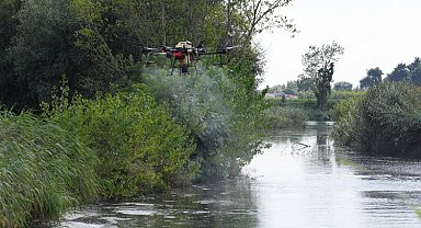 Bursa'da drone ile sinek avı