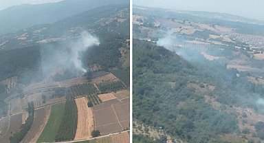 Bursa'da üç ilçede 4 farklı noktada yangın!