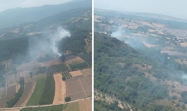 Bursa'da üç ilçede 4 farklı noktada yangın!