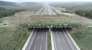 DOĞAL YAŞAMIN UMUDU EKOLOJİK KÖPRÜLER