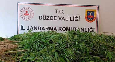 Düzce'de jandarmadan uyuşturucu operasyonu